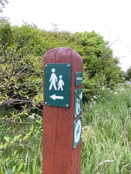 Sårup Viewing Platform