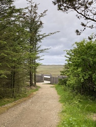 Sårup Viewing Platform