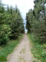 Sårup Viewing Platform