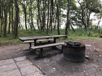 Shelter ved Strandkær Strand